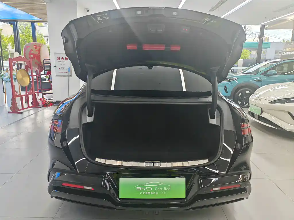Denza Denza Z9 — миниатюра 5