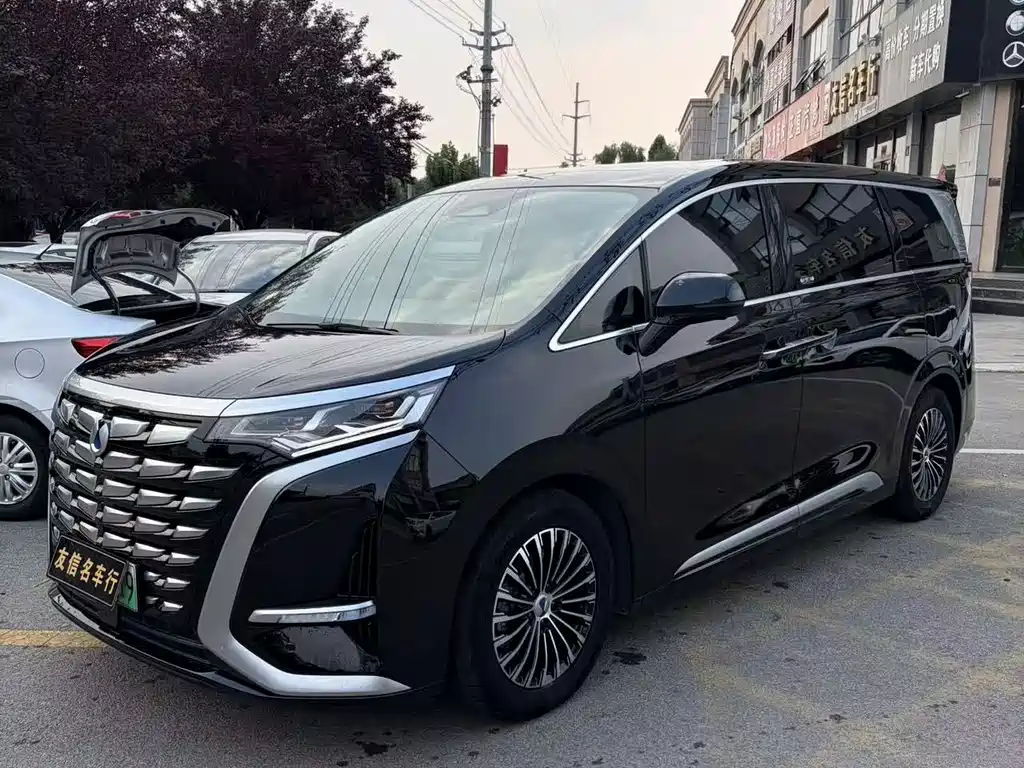 Denza Denza D9