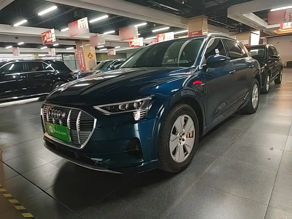 Audi e-tron (Import) — миниатюра 2