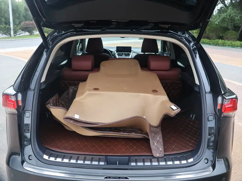 Lexus NX 200 AWD Sharp Fashion Edition, фото 11