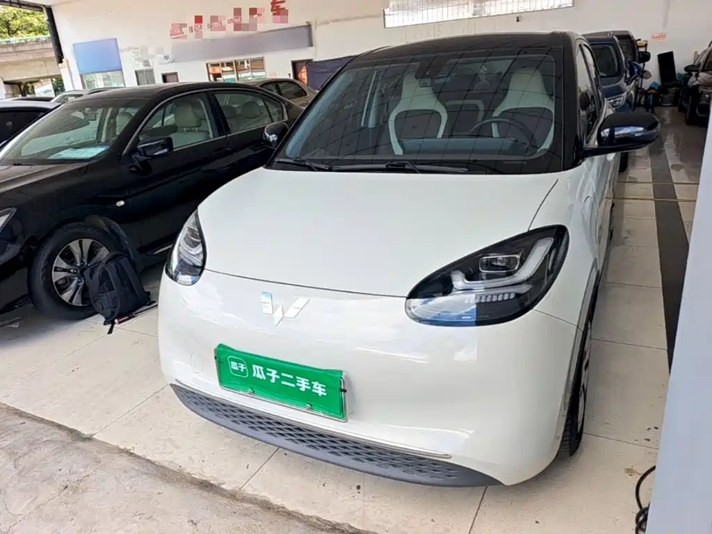 Wuling Binguo