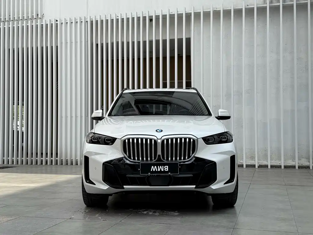 BMW X5 — миниатюра 2