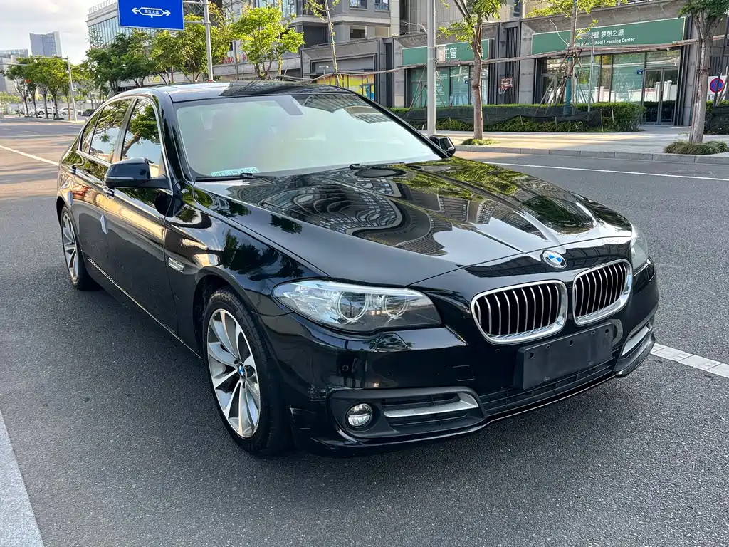BMW 5 Series — миниатюра 3