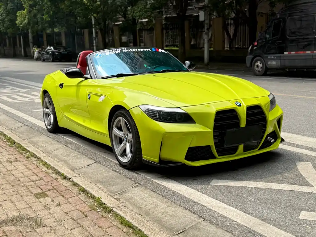 BMW Z4 2009 sDrive23i Lead