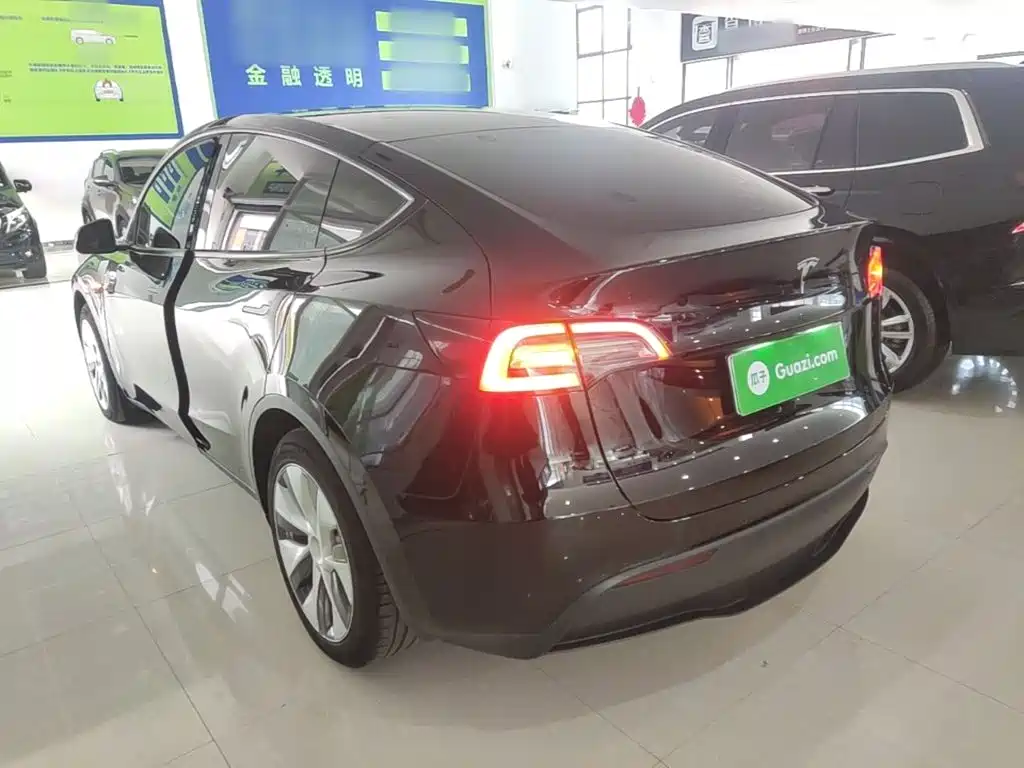 Tesla Model Y — миниатюра 23