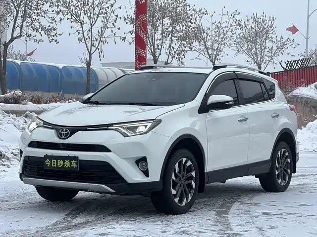 TOYOTA RAV4 RONGFANG 2019