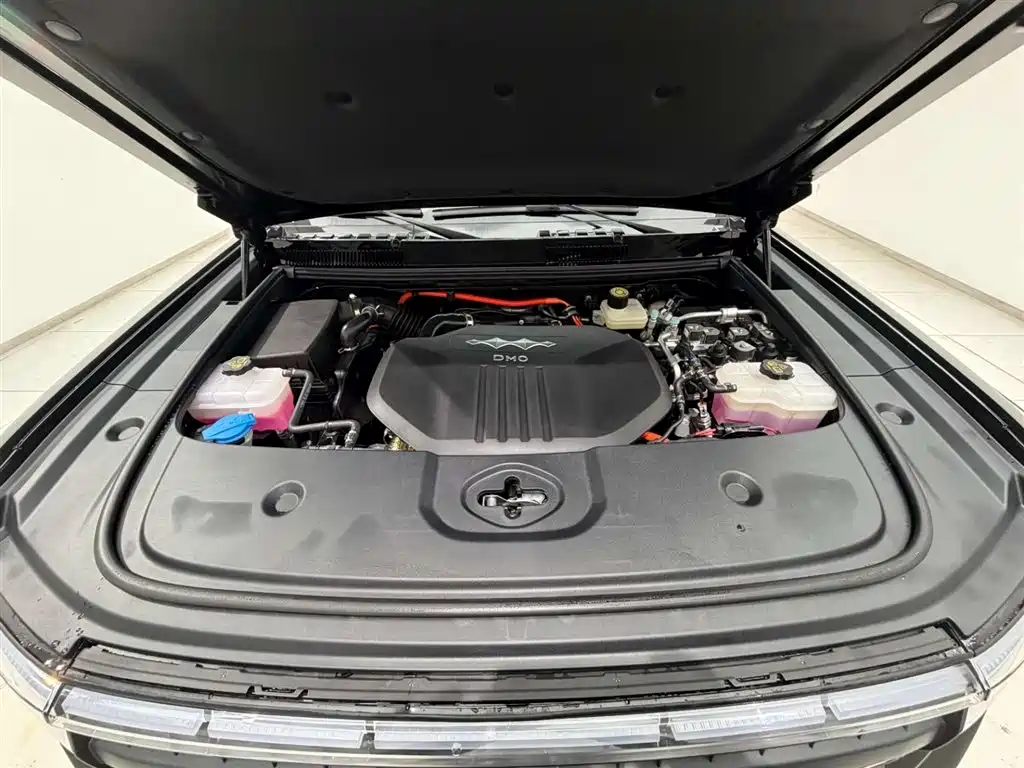 FANG CHENG BAO LEOPARD 5