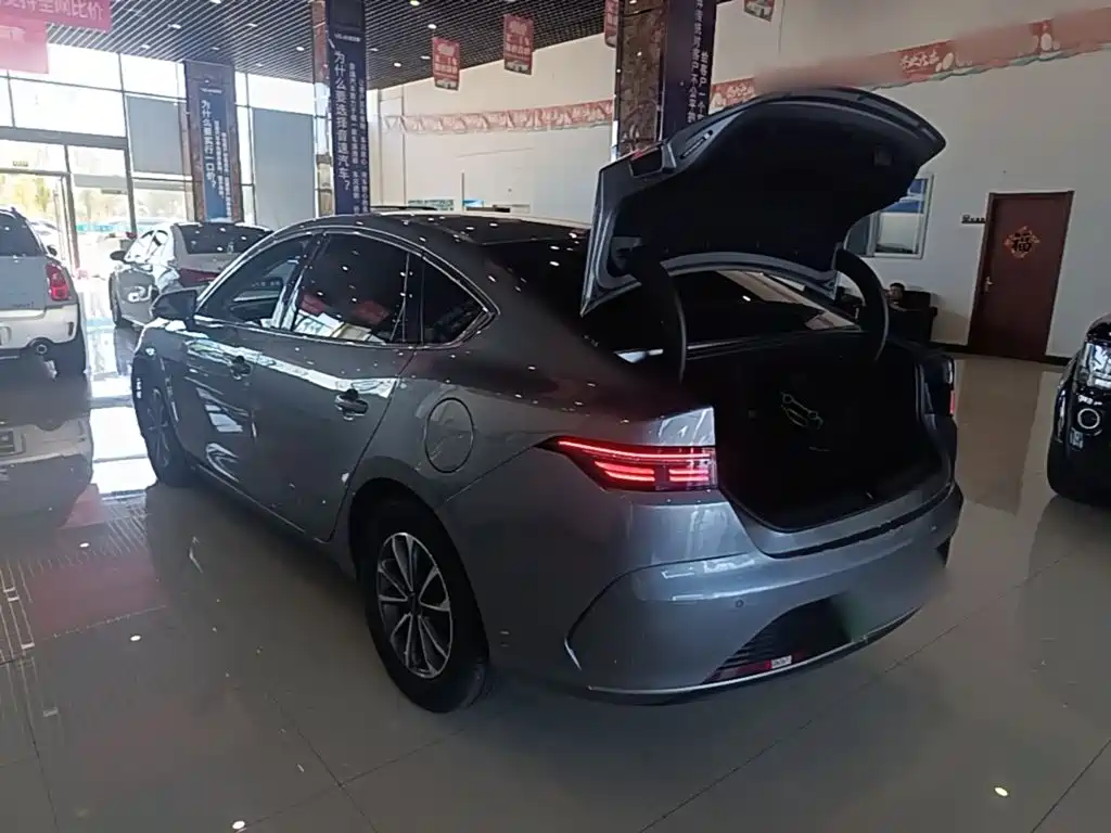 BYD Destroyer 05 — миниатюра 5