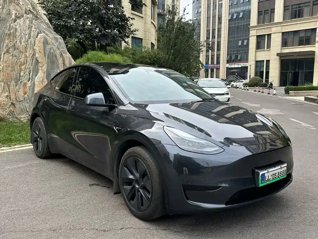 Tesla Model Y — миниатюра 3