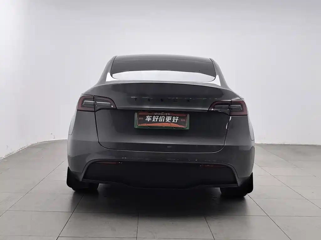 Tesla Model Y — миниатюра 4