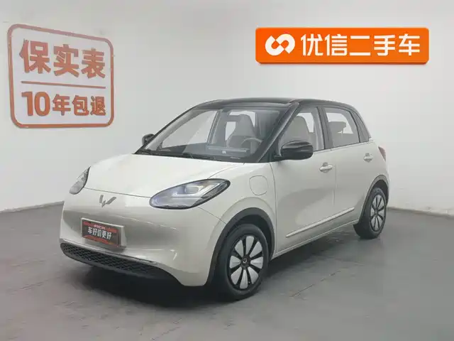 WULING WULING BINGGUO 2025