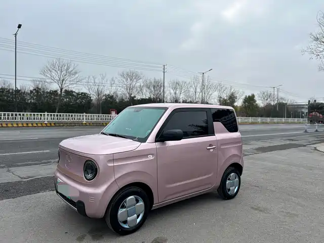 GEELY GALAXY PANDA 2025