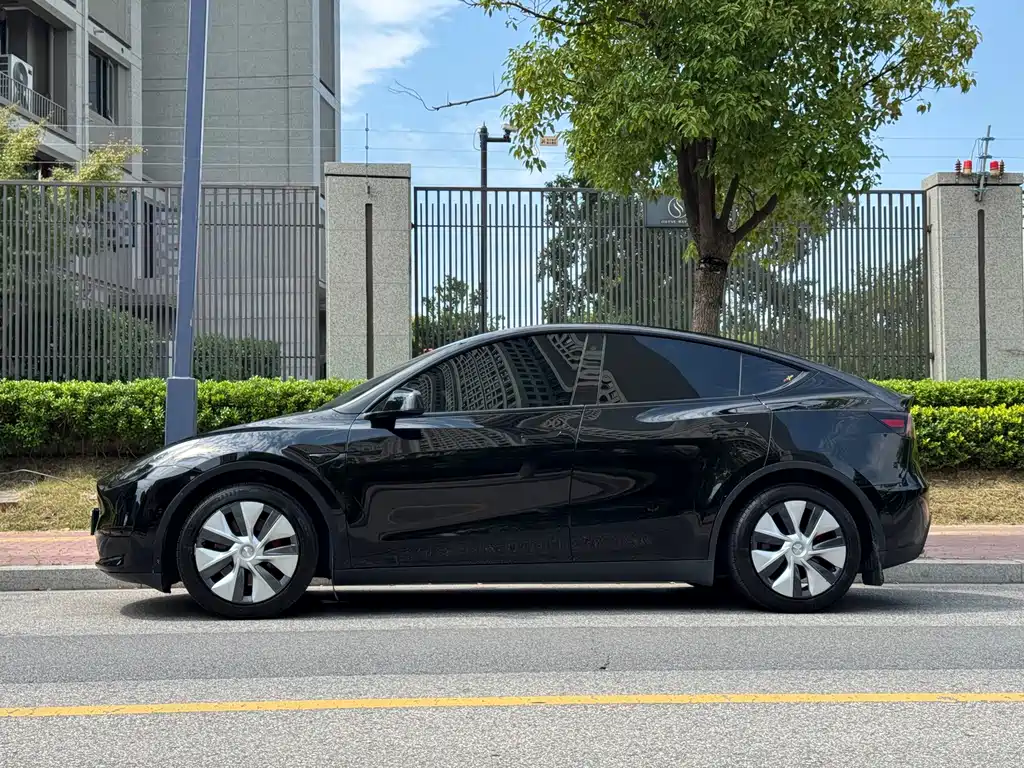 Tesla Model Y — миниатюра 3