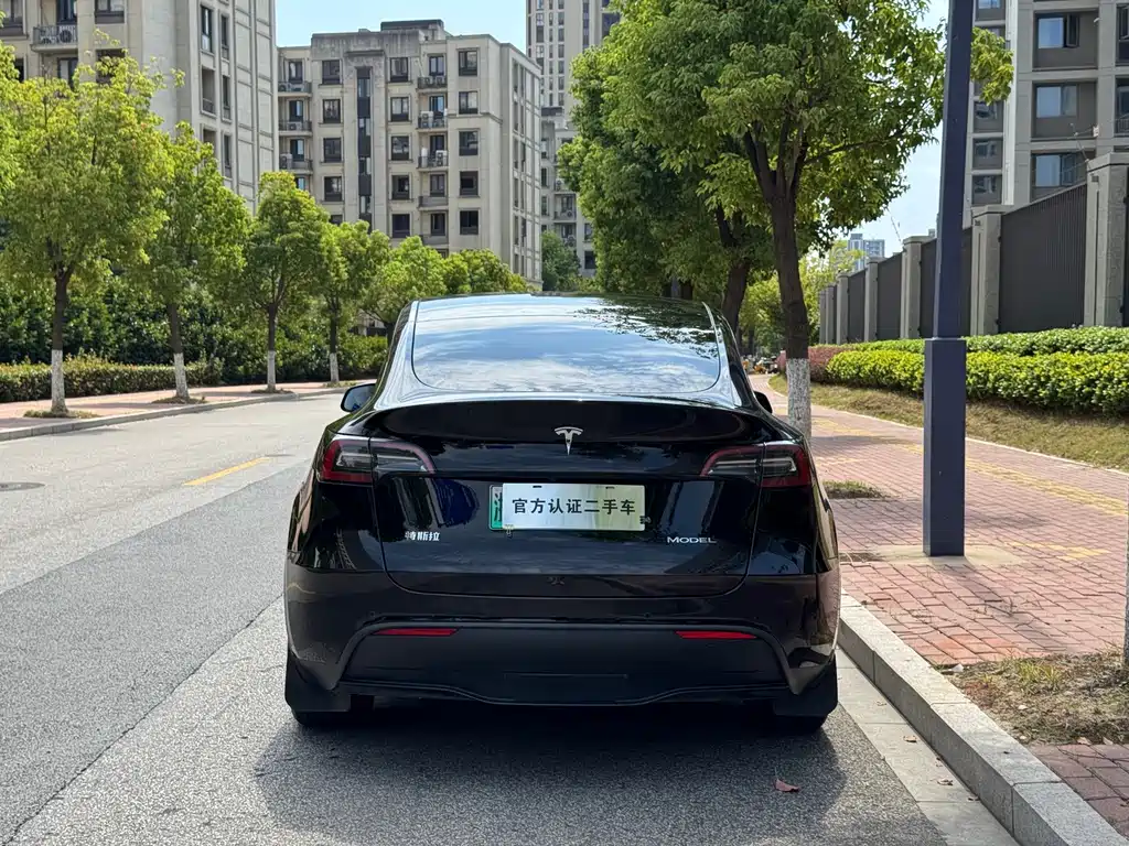Tesla Model Y — миниатюра 8