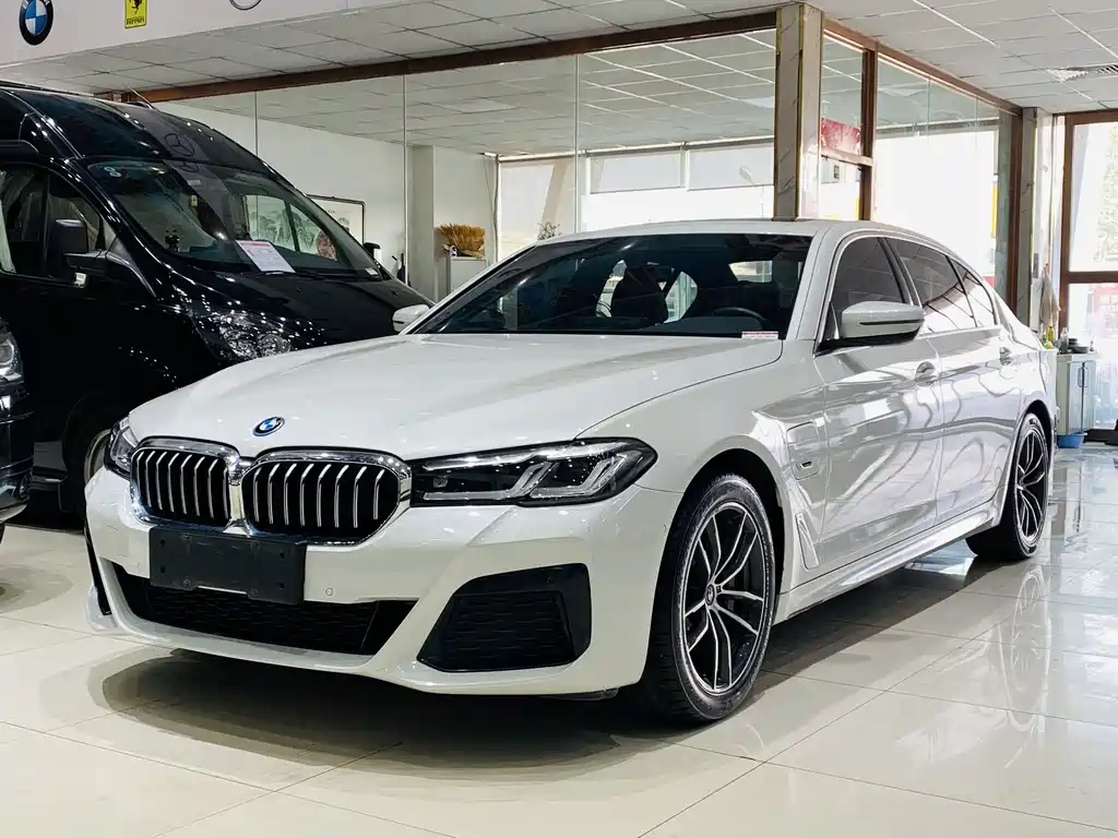 BMW 5 Series New Energy 2022