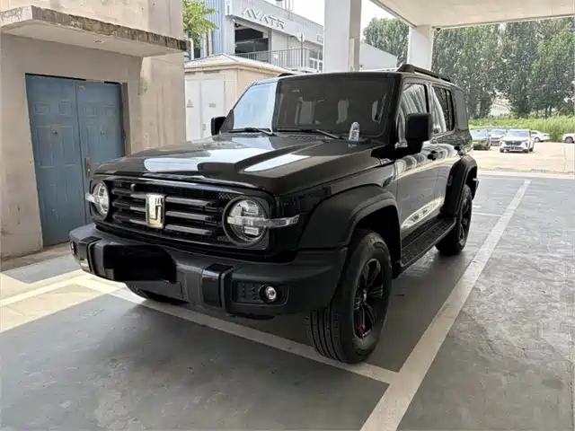 2025 TANK 300