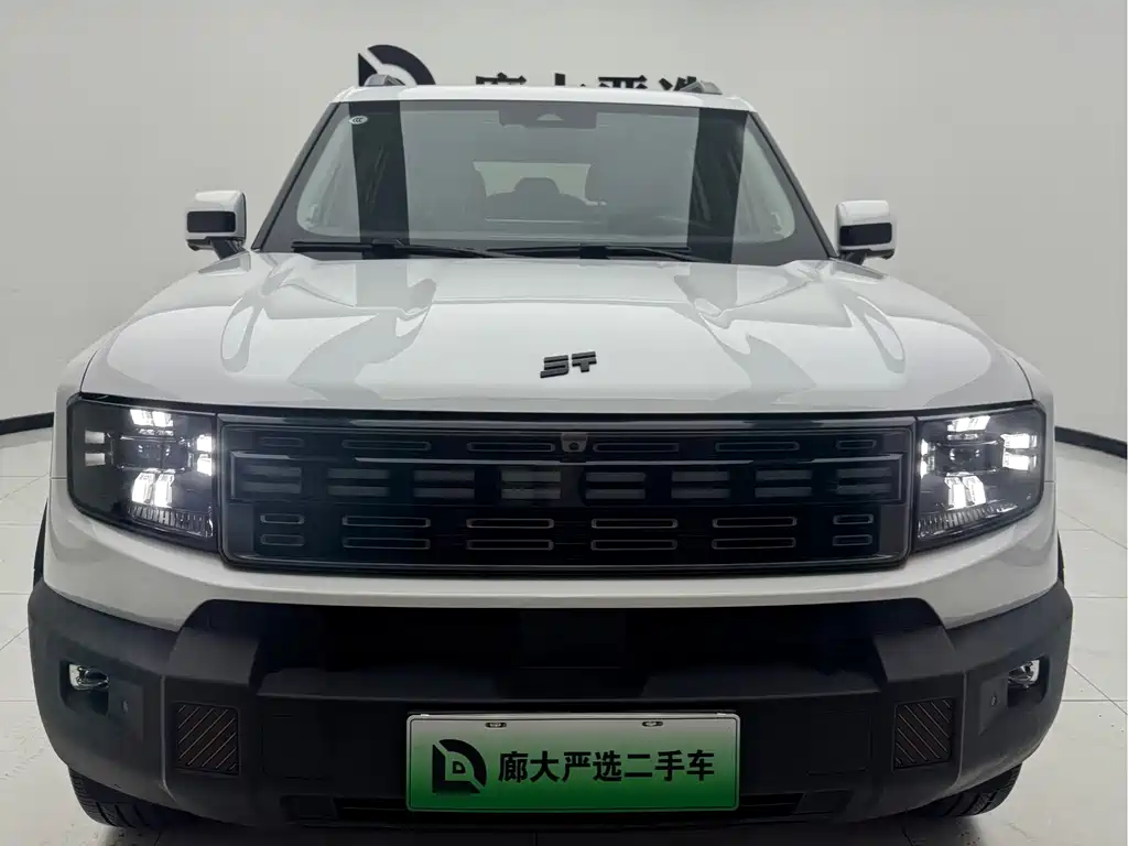 Shanhai Shanhai T1 — миниатюра 2