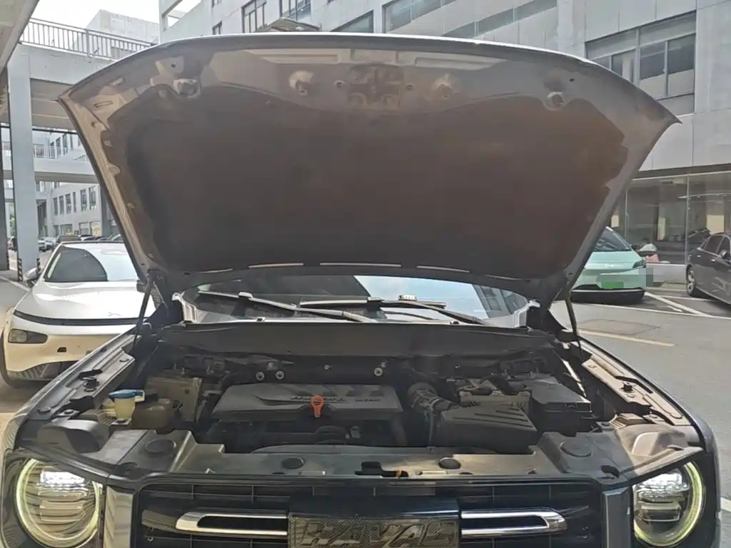 Haval Big Dog — миниатюра 20