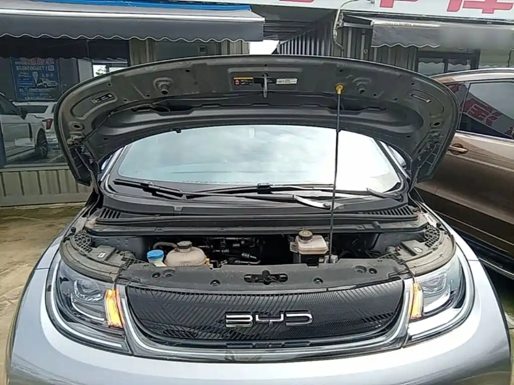 BYD Dolphin — миниатюра 20