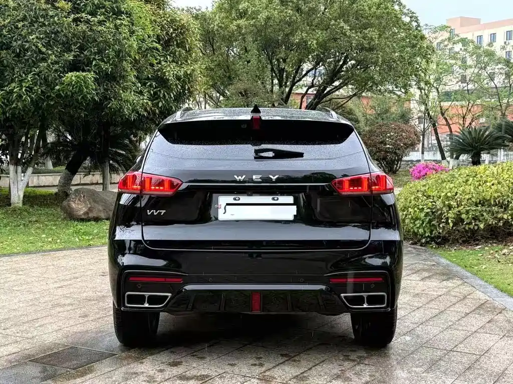 Wey Wey VV7 — миниатюра 7