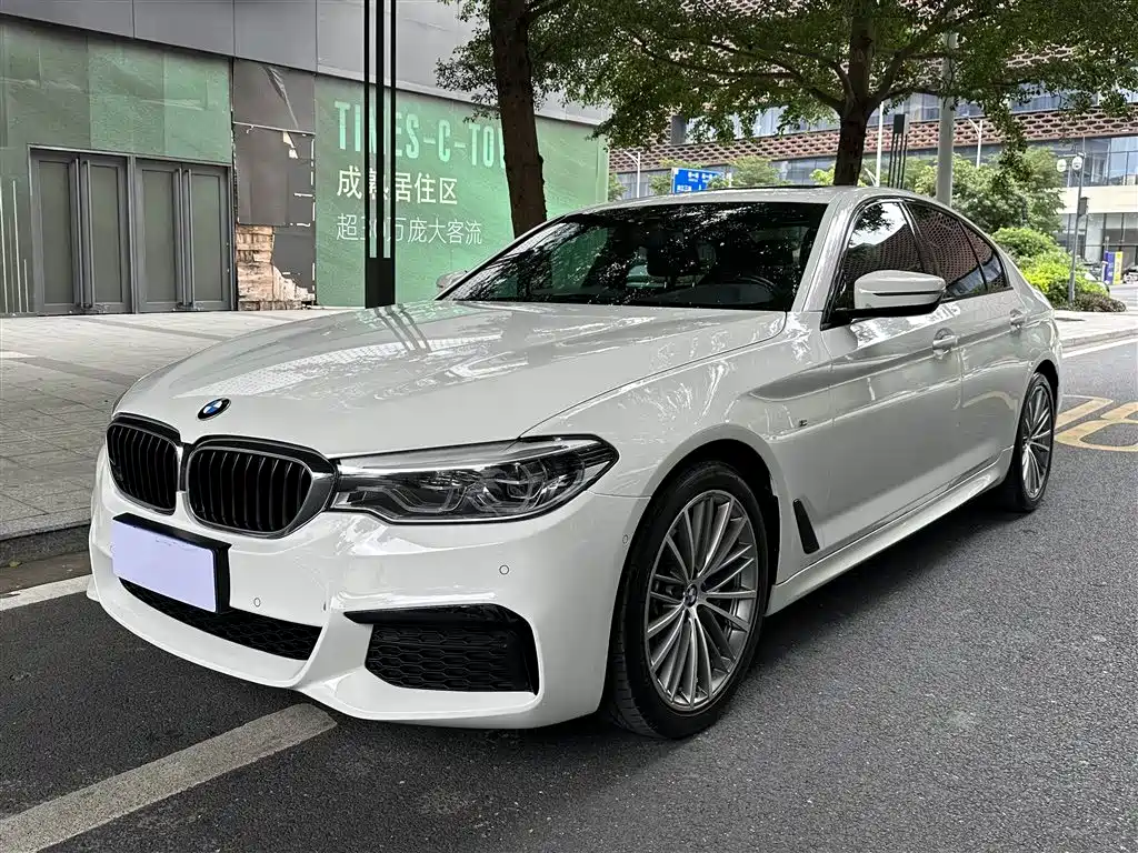 BMW 5 Series (Import) 2020