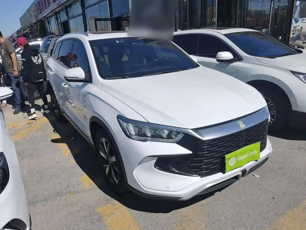 BYD Pro New Energy — миниатюра 4