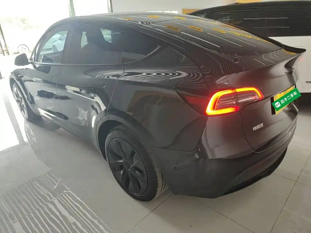 Tesla Model Y — миниатюра 5
