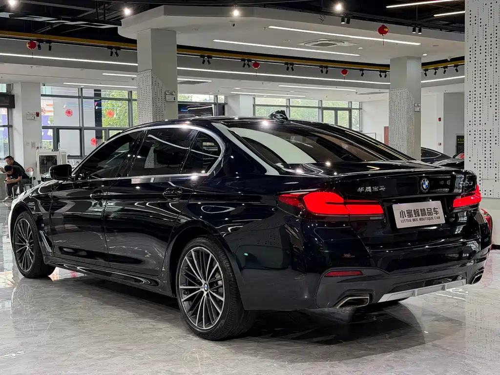 BMW 5 Series — миниатюра 14