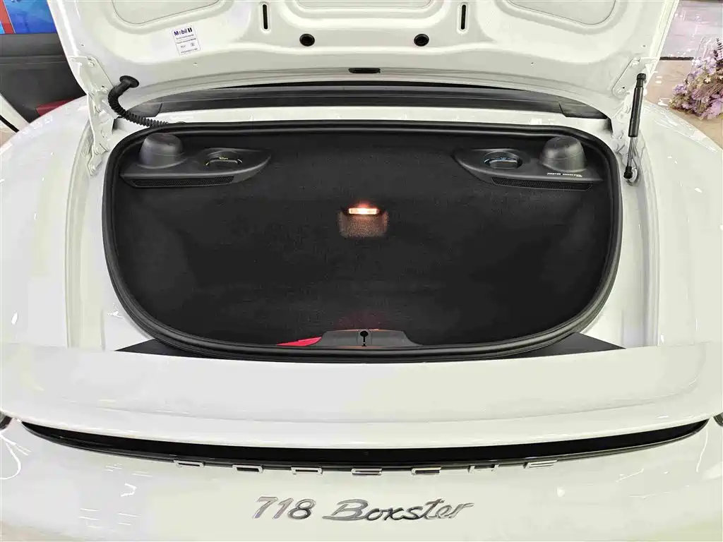 Porsche 718 — миниатюра 12