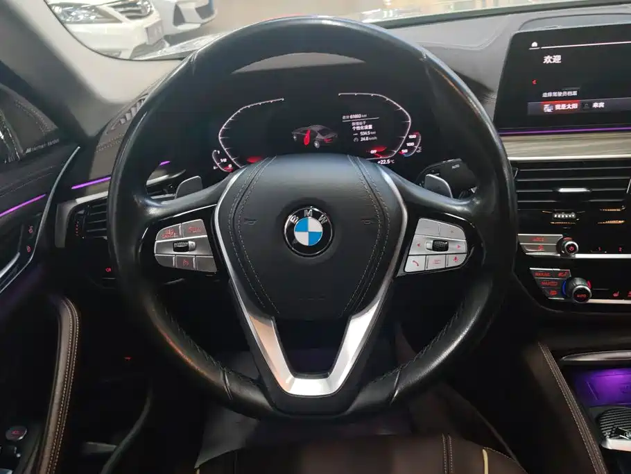 BMW 5 Series — миниатюра 15
