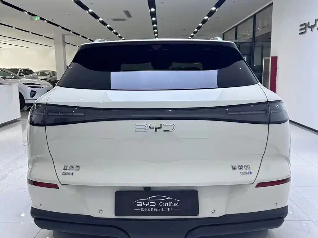 BYD Sealion 06 — миниатюра 10
