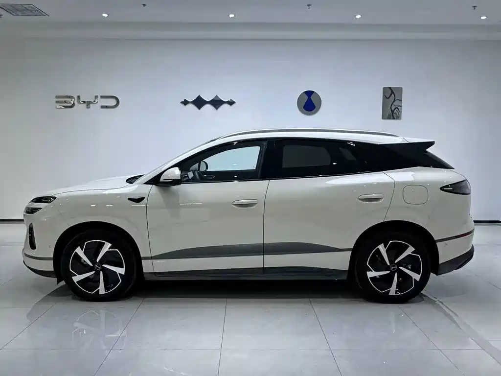 BYD Sealion 06 — миниатюра 2