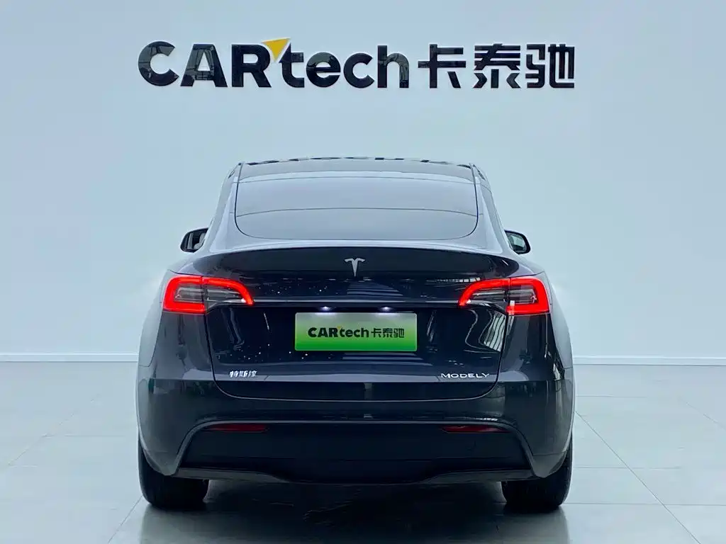 Tesla Model Y — миниатюра 4