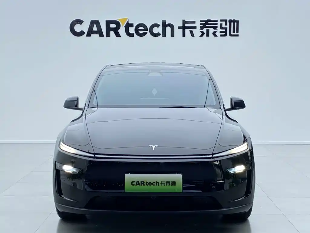 Tesla Model Y — миниатюра 2