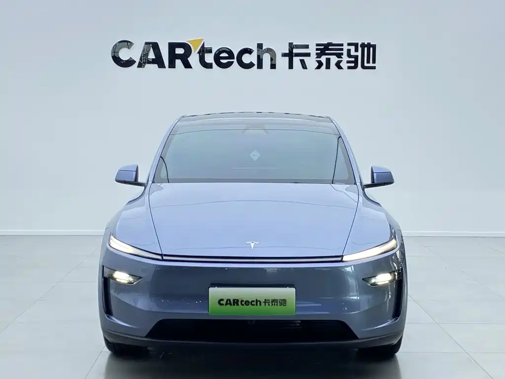 Tesla Model Y — миниатюра 2