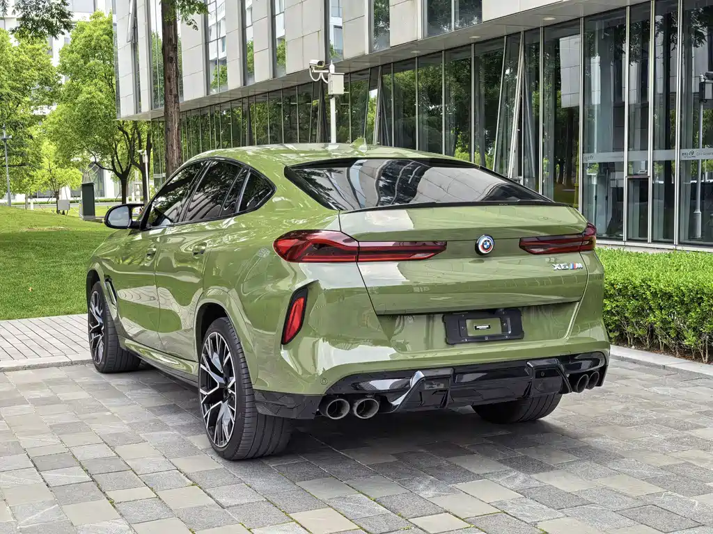 BMW X6 M — миниатюра 48