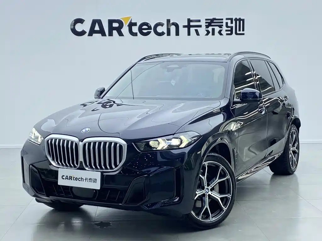 BMW X5 — миниатюра 11
