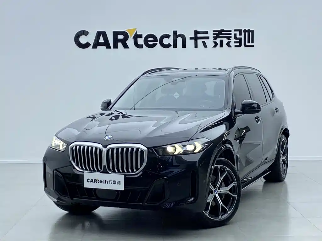 BMW X5 — миниатюра 11