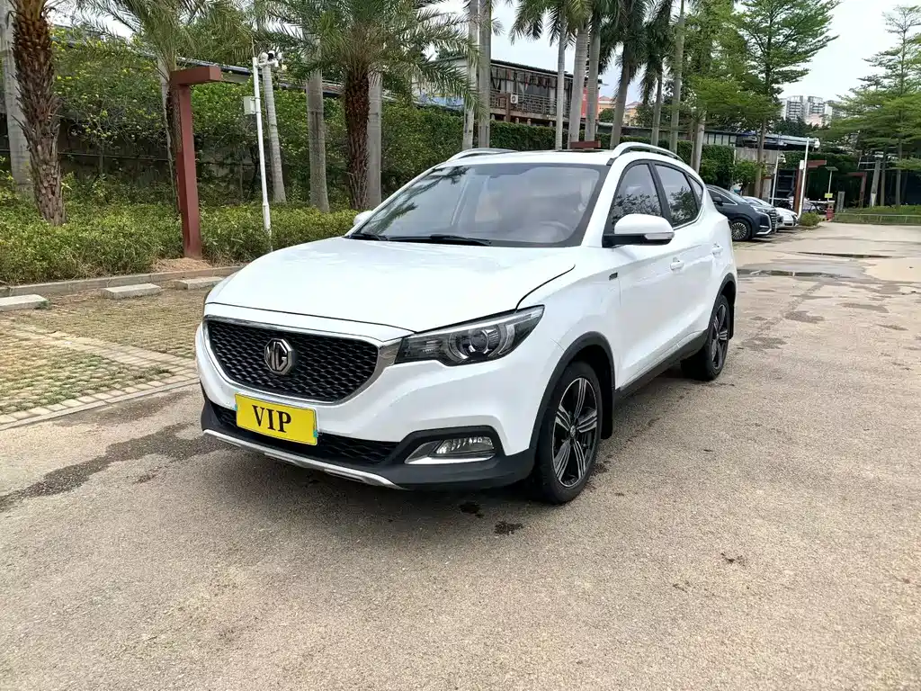 Mg ZS 2019