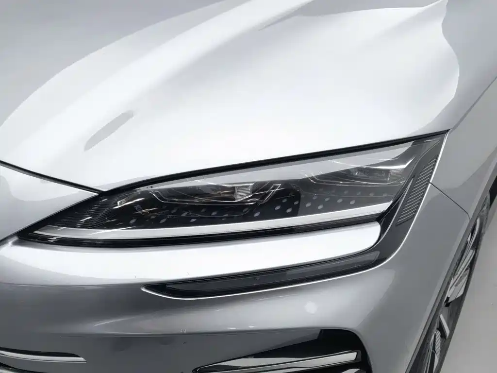BYD PLUS New Energy — миниатюра 7