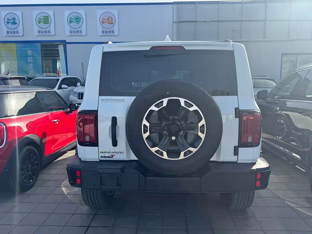 TANK TANK 300 NEW ENERGY