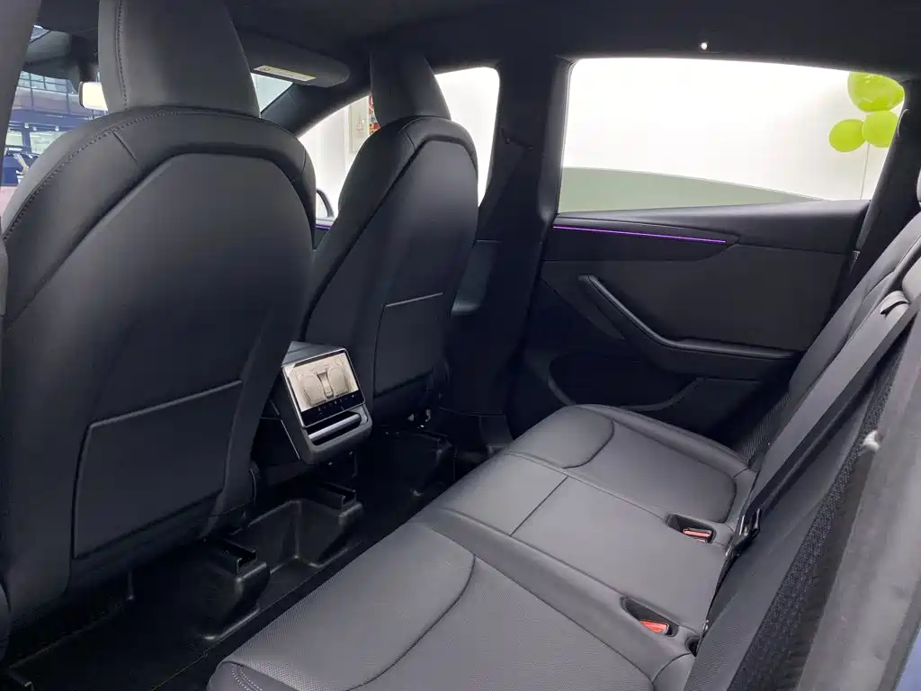 Tesla Model Y — миниатюра 35