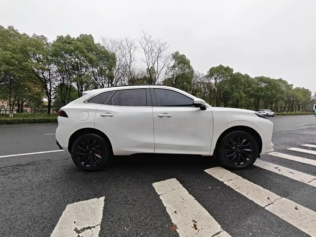 DONGFENG POPULAR T5 EVO