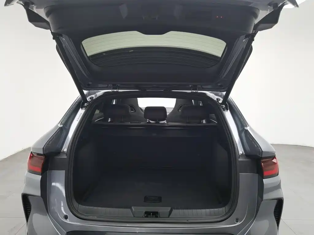BYD PLUS New Energy — миниатюра 16