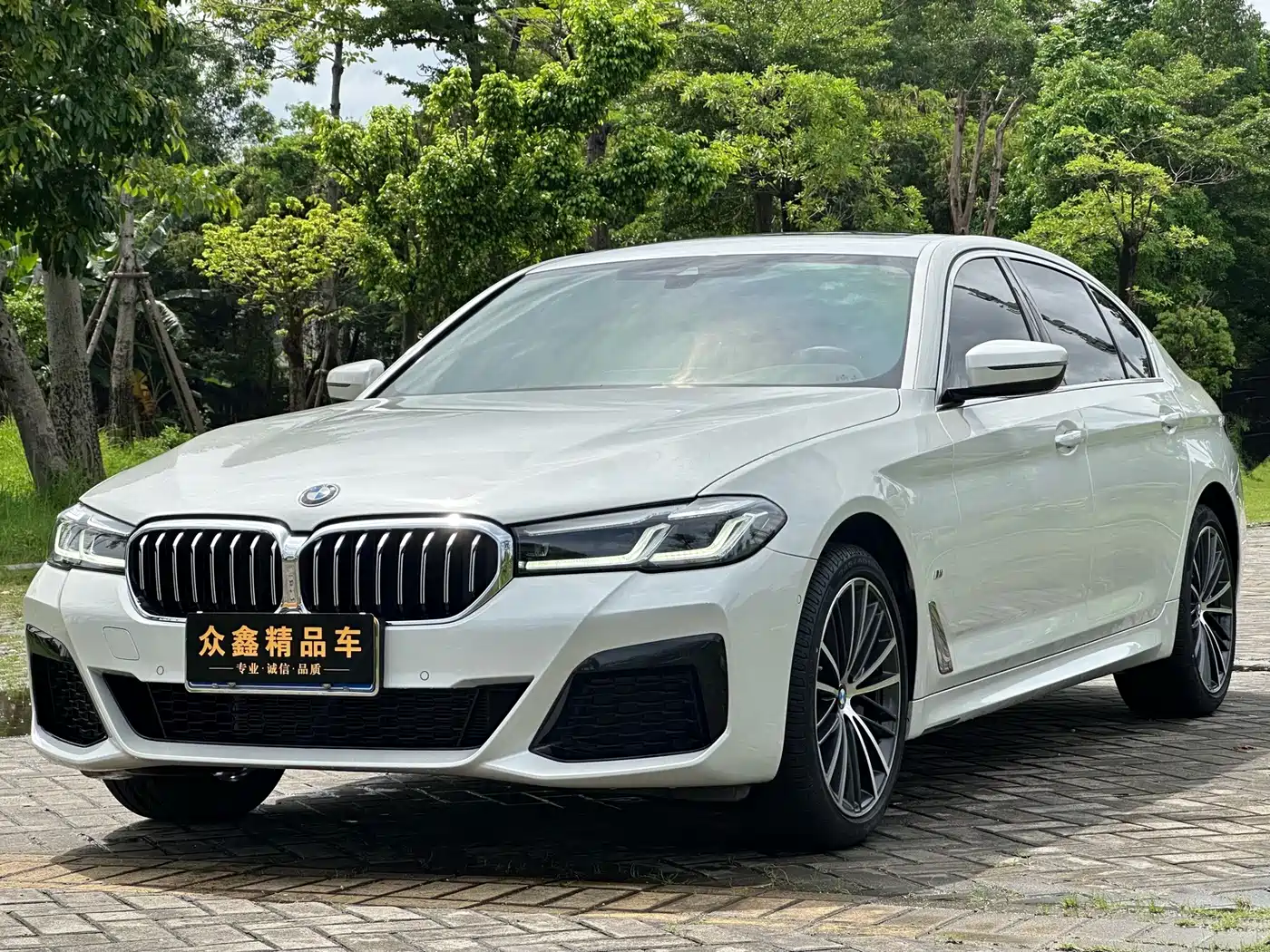 宝马5系 2023款 530Li 领先型 M运动套装 2023