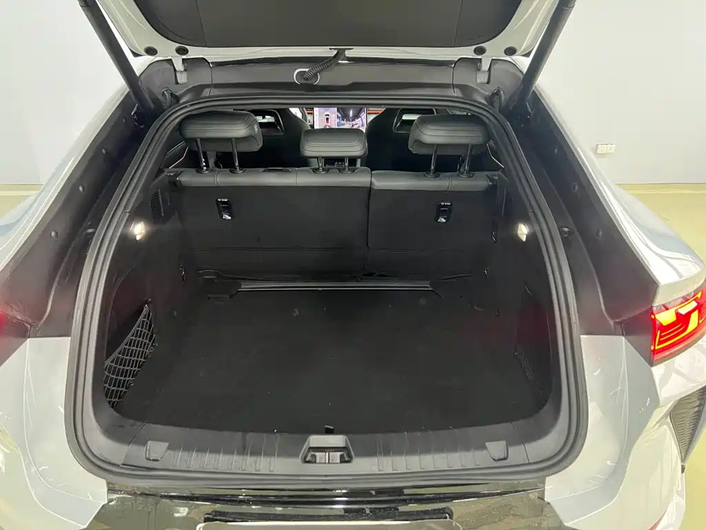 BYD L EV — миниатюра 18
