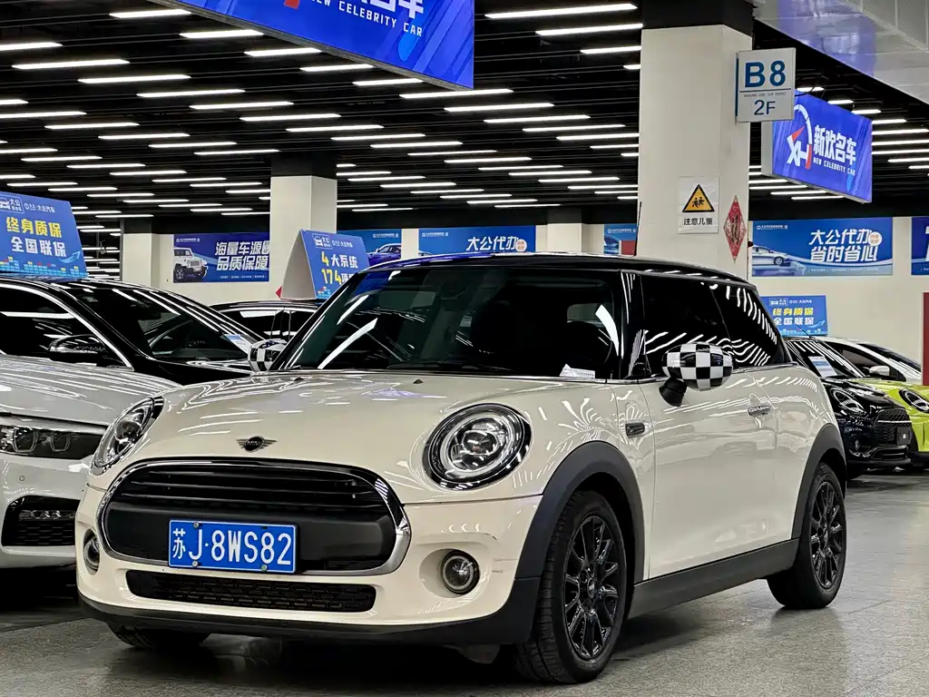 Mini Mini 2020