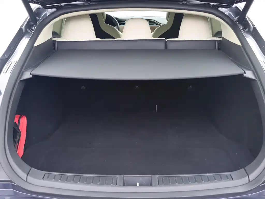 Tesla Model S — миниатюра 19
