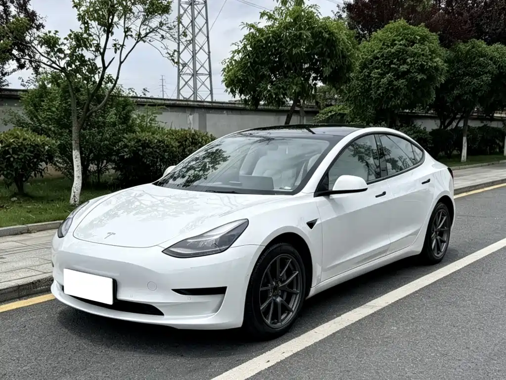Tesla Model 3 2021