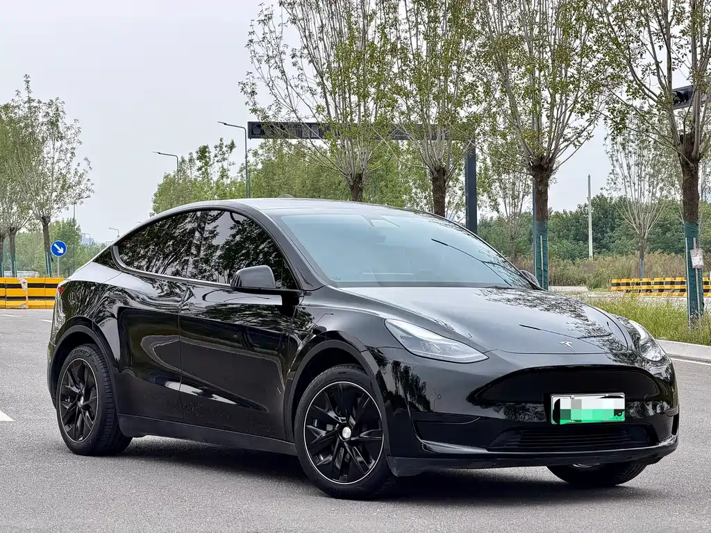 Tesla Model Y — миниатюра 3
